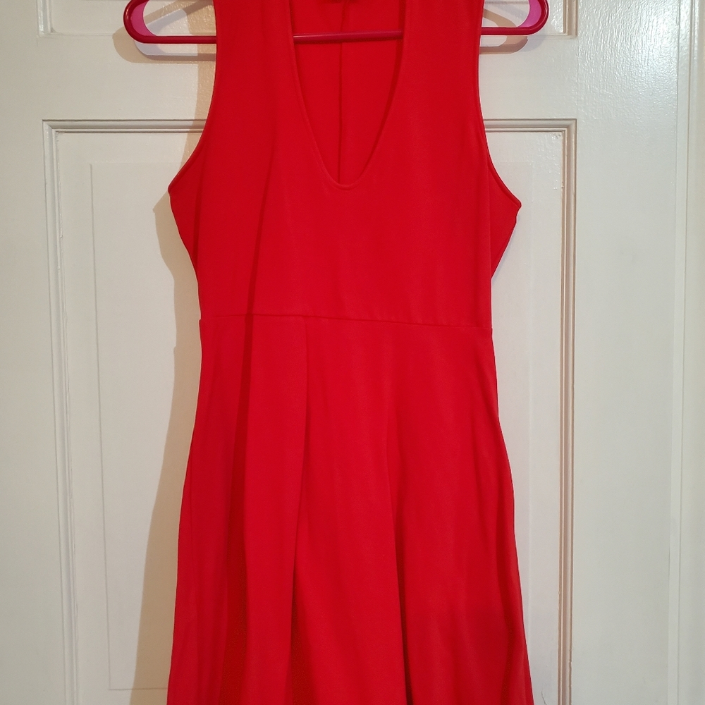 Hot coral dress (despite the red appearance)